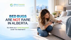 Does Homeowners Insurance Cover Bed Bugs in Alberta